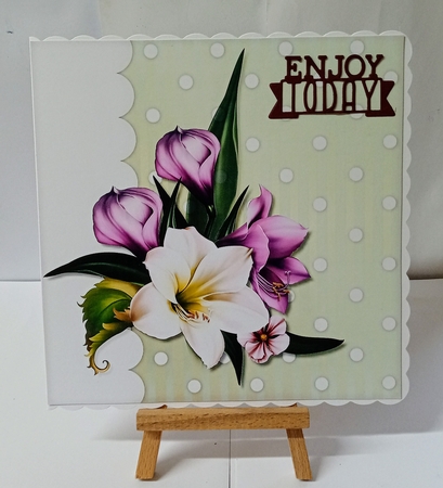 Amazing Amaryllis 2 by Jackie Odonnell