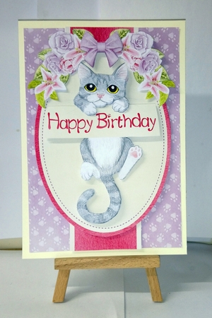 Grey Kitten by Jackie Odonnell