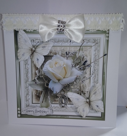 White rose and butterfly by Jackie Odonnell