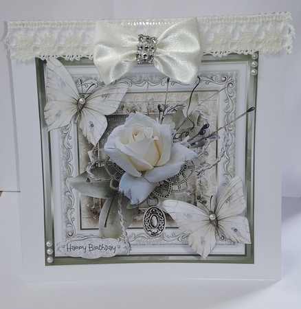 White rose and butterfly by Jackie Odonnell