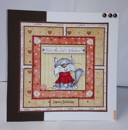 Rascal cat by Jackie Odonnell