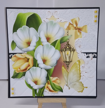 white and yellow tulip by Jackie Odonnell