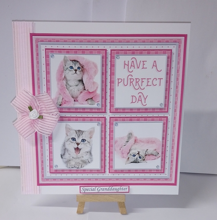 MIXED ANIMALS BUMPER KIT Quick Layer Cards & Word Kits by Jackie Odonnell