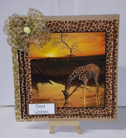 Animal Magic Bumper Kit 1 by Jackie Odonnell