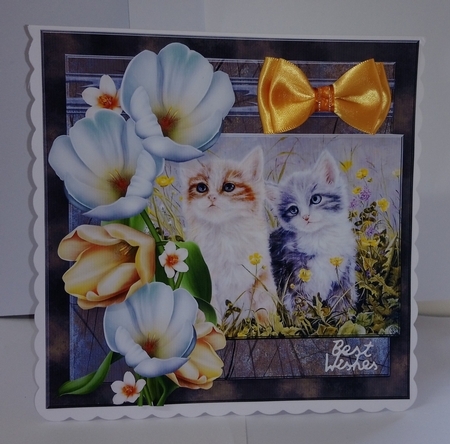 Tulips and cats by Jackie Odonnell
