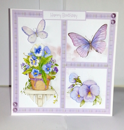 Pansy garden by Jackie Odonnell