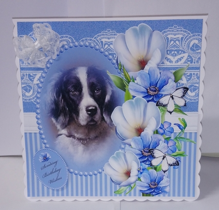 dog and flowers 1 by Jackie Odonnell