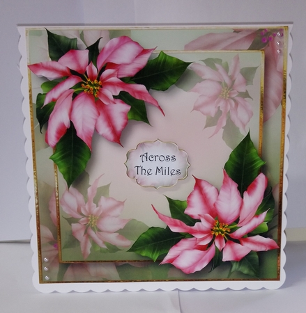 Poinsettias For Christmas Bumper Kit by Jackie Odonnell
