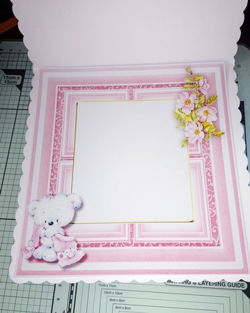 Baby Girl Incert by Jackie Odonnell