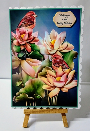 Fine feathers and flowers A5 by Jackie Odonnell