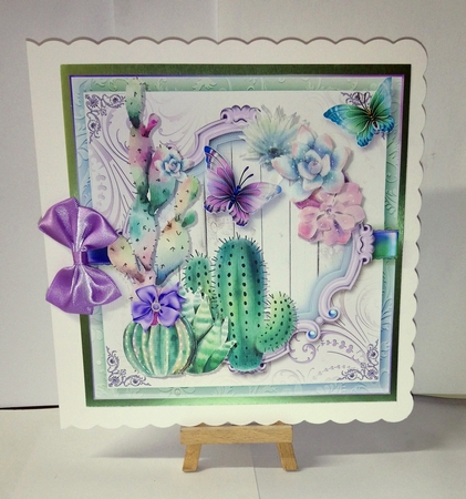 The Cactus and Butterflies by Jackie Odonnell