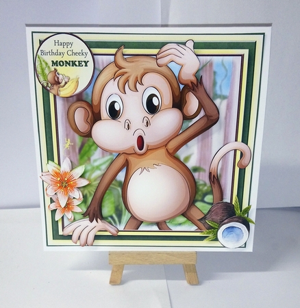 Cheeky Monkey by Jackie Odonnell