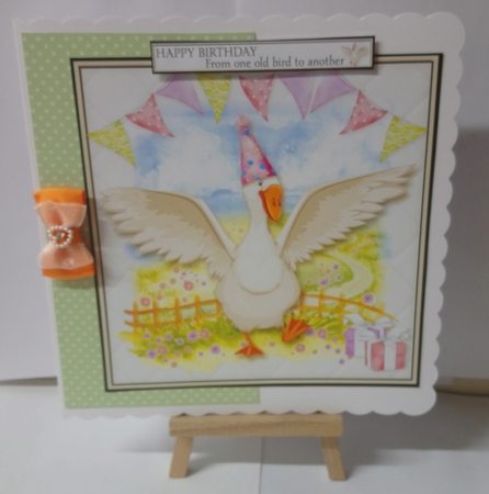 The Birthday Goose by Jackie Odonnell