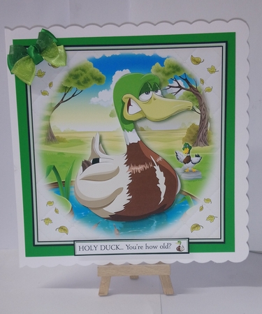 The Birthday Duck by Jackie Odonnell