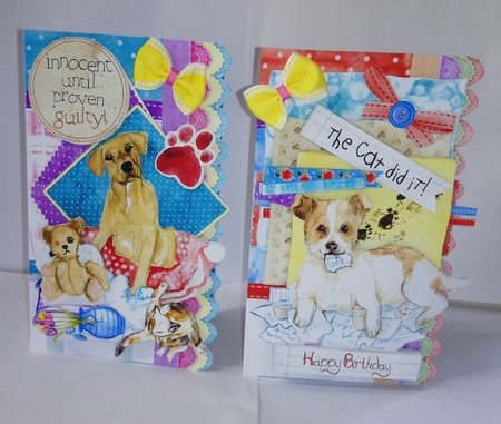 Pets at Home Quick Cards by Jackie Odonnell