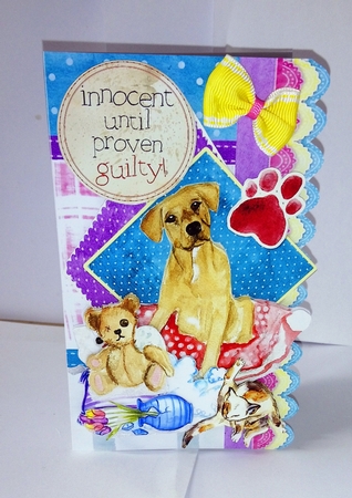 Pets at Home Quick Cards by Jackie Odonnell