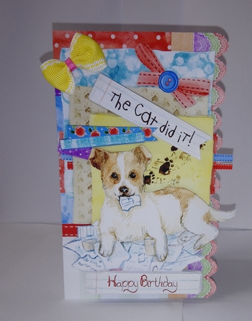 Pets at Home Quick Cards by Jackie Odonnell
