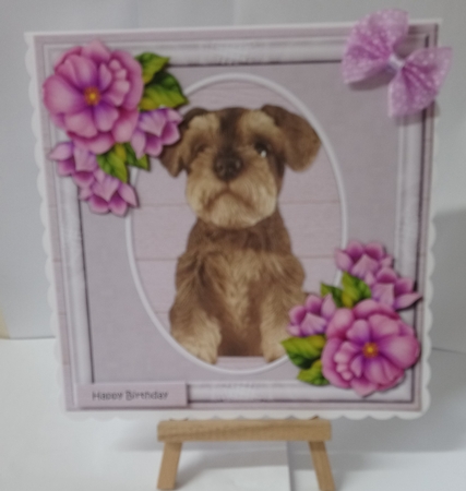 Cute  Miniature Schnauzer Puppy Mini Kit by Jackie Odonnell