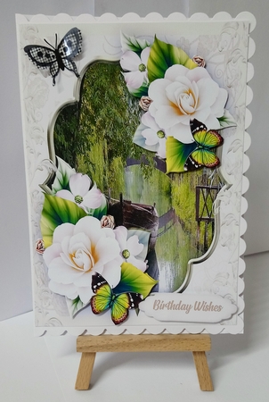 A5 Magnolias and Scene  by Jackie Odonnell