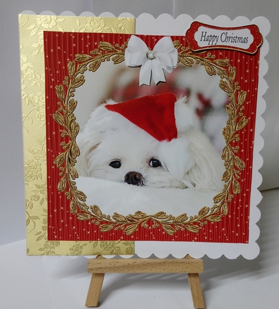 TWINKLE TWINKLE VARIOUS CHRISTMAS SENTIMENTS by Jackie Odonnell