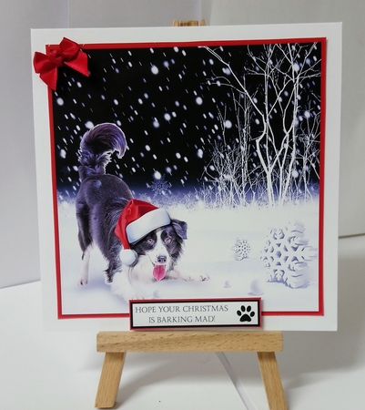 Santa Paws by Jackie Odonnell