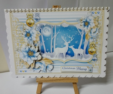 The Christmas Moon by Jackie Odonnell