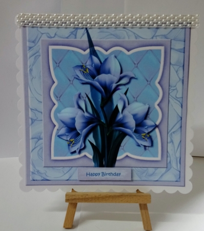 Scallop Amazing Amaryllis by Jackie Odonnell