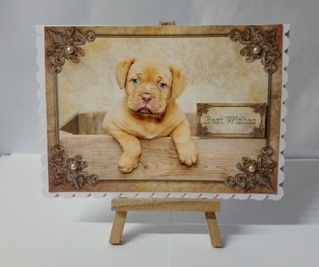 Cute Puppy in a Box Card Front, Topper & Sentiment Tags by Jackie Odonnell