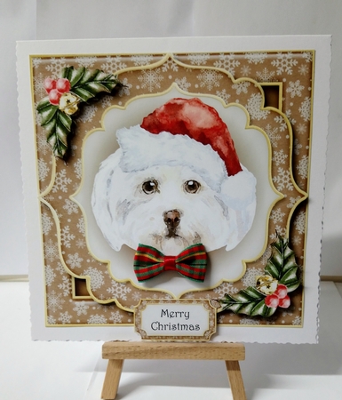 Gorgeous Christmas Dog - Maltese by Jackie Odonnell