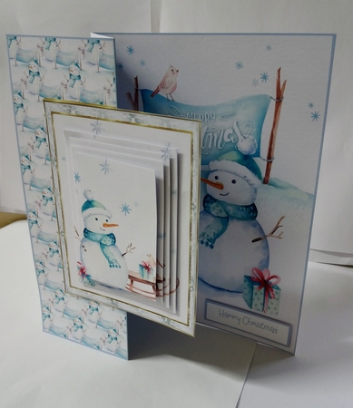 The snowman and the robin by Jackie Odonnell
