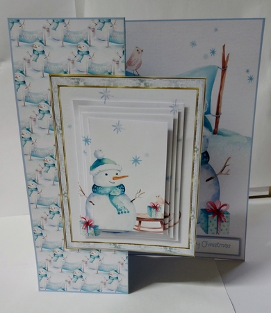 The snowman and the robin by Jackie Odonnell