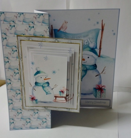 The snowman and the robin by Jackie Odonnell