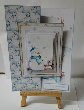 The snowman and the robin by Jackie Odonnell