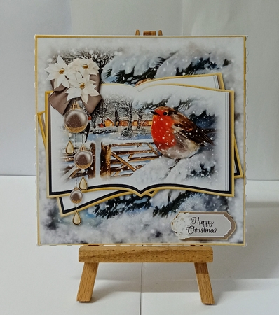 Robin Red Breast Open Book 6x6 inch Quick Card 1 by Jackie Odonnell