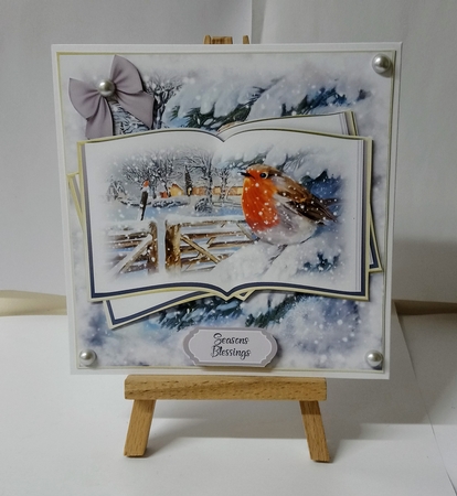Robin Red Breast Open Book 6x6 inch Quick Card 2 by Jackie Odonnell