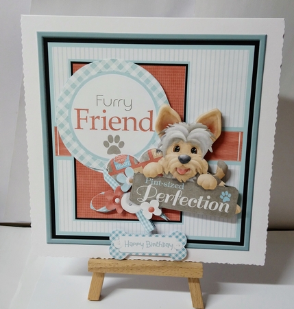 Furry friend by Jackie Odonnell
