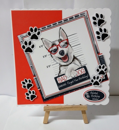 Bad Dog by Jackie Odonnell