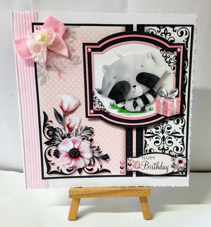 Rocky the Raccoon by Jackie Odonnell