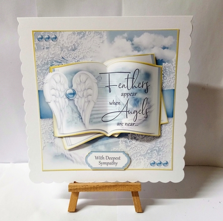 Feathers Appear Open Book by Jackie Odonnell