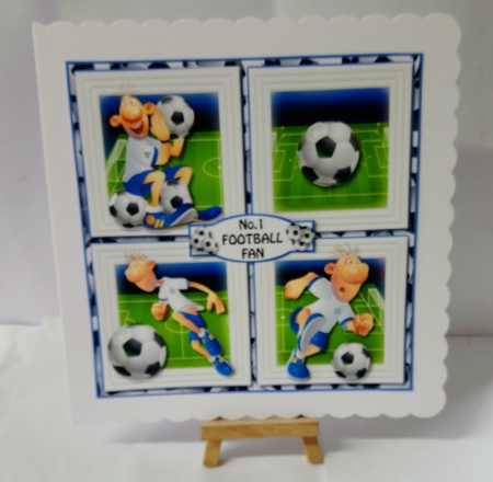 The Football Fan by Jackie Odonnell