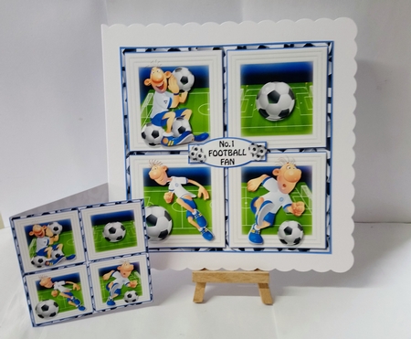 The Football Fan by Jackie Odonnell
