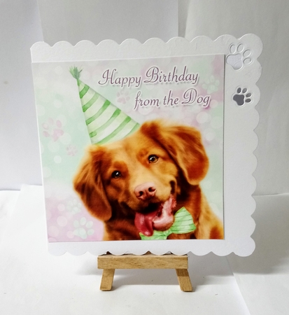 Party Animal! by Jackie Odonnell