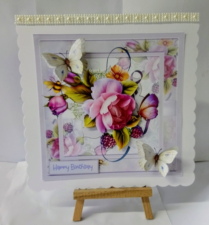 English rose and butterfly by Jackie Odonnell