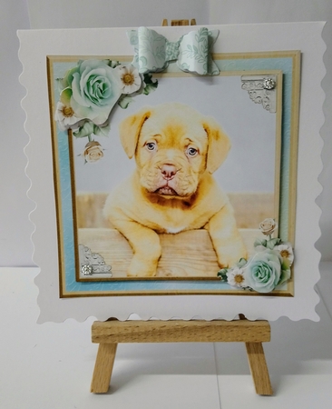 Cute puppy card mini kit & decoupage by Jackie Odonnell