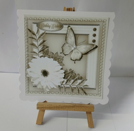 Daisy and Butterfly 5 by Jackie Odonnell