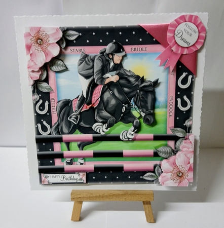 The Showjumper by Jackie Odonnell