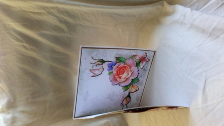 Cabbage Rose Mini Kit 8x8 by Jacky Osborne