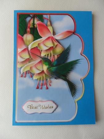 Hummingbird and Fuschia Scallope Edge Curve Card by Jacqueline Bunnett
