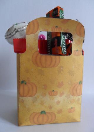 Autumn Pumpkins Gift Bag by Jacqueline Bunnett