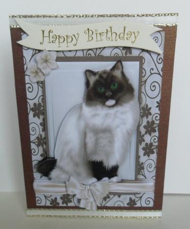 Brown/white Beautiful Persian in Floral Frame by Jacqueline Bunnett